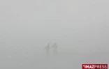 Jeudi 31 janvier 2008 - 
La route des laves noyée sous l'épais brouillard généré par la vapeur d'eau
