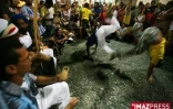 Salvador de Bahia - Brésil - 
La Capoeira Angola, menée par le Maître Lua Rasta