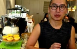 Ancien informaticien, Chow Chung-ming, ici à Kaohsiung le 13 novembre 2019, a quitté Hong Kong pour ouvrir un café pour chats à Taïwan