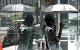 Un homme se protège du soleil avec un parapluie dans le centre de Manhattan, le 23 juin 2025 à New York, alors qu'une alerte à la chaleur extrême a été émise pour la région