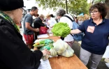 Marché éphémère organisé par le syndicat agricole Modef, place de la Bastille à Paris, le 17 août 2017