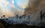 Une zone brûlée dans la forêt amazonienne à Apui dans le sud de l'État d'Amazonas au Brésil, le 21 septembre 2022