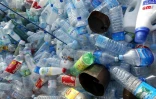 Des bouteilles et divers emballages plastiques dans un container destiné au tri sélectif des déchets ménagers, à Albi le 02 décembre 2003