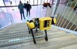 Le robot-chien Scar, télécommandé par l'ingénieur Quentin Helaine (d), monte un escalier de l'Ecole des Mines de Nancy, le 23 setpembre 2020 