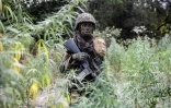 Un militaire sénégalais dans un champ de cannabis, dans une base récemment prise à la rébellion du Mouvement des Forces démocratiques de Casamance (MFDC) dans la forêt de Blaze, le 9 février 2021