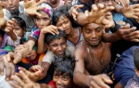 Distribution d'aide à des réfugiés rohingyas ayant fui l'État Rakhine en Birmanie, dans un camp de réfugiés près de Teknaf au Bangladesh, le 5 septembre 2017