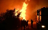 Des pompiers cherchent à éteindre un feu près de Patras, en Grèce, le 13 août 2025