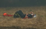 Un pompier est étendu sur l'herbe desséchée au cours d'une intervention contre un feu de forêt près de Lanton, en Gironde, le 29 juillet 2026