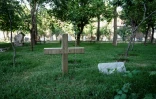 Une croix sur la tombe d'un étranger au cimetière britannique de Kaboul, le 22 mai 2025 en Aghanistan