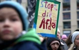 Manifestation contre l'extrême droite et notamment le parti AfD à Berlin, le 14 janvier 2024