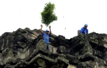 Un jardinier jette des pousses d'arbre arrachées sur le temple d'Angkor Wat, le 12 octobre 2020