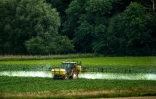 Un tracteur épand des pesticides dans un champs de céréales à Bailleul, dans le Nord de la France, le 15 juin 2015 