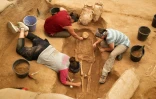 Une équipe d'archéologues étrangers sur le site du premier cimetière philistin jamais découvert à Ashkelon en Israël, le 28 juin 2016