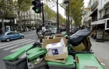 Des poubelles qui débordent dans une rue à Paris, le 8 octobre 2015