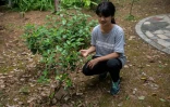 La militante écologique Howey Ou près d'un arbre qu'elle a planté devant la maison familiale à Guilin (Chine), le 7 août 2020
