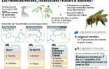 Les néonicotinoïdes, insecticides "tueurs d'abeilles"