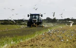 Un agriculteur dans un tracteur sur l'île de Noirmoutier, dans l'ouest de la France, le 2 mai 2024