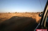 Parc Kruger (Afrique du Sud)