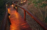 Parc Kruger (Afrique du Sud)