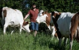 L'éleveur français Adrien Mazet produit 200.000 litres de lait par an, dont la moitié sert à produire des yaourts servis aux cantines lyonnaises. A
Chazelles-sur-Lyon le 20 mai 2021