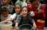 Des enfants palestiniens attendent de recevoir un repas chaud dans une cuisine caritative à Gaza-ville, le 30 avril 2025