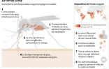 Le virus Zika