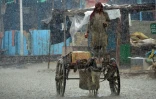Un homme conduit sa charrette tirée par un âne sous une forte pluie à Dera Allah Yar, dans la province du Baloutchistan, le 30 août 2022 au Pakistan