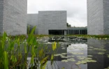 Au centre des pavillons du musée Glenstone, près de Washington, se trouve une étendue d'eau et de plantes aquatiques