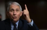 Le docteur Anthony Fauci, le 23 septembre 2020 à Washington