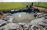 Un bassin d'eau dans une ferme dans le village d'Al-Asrakiya, en Irak, le 22 février 2024