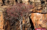 Bourke's Luck Potholes (les &quot;marmites de géants&quot;) en Afrique du Sud
