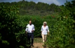 Claude Vialade (D) propriétaire du domaine Château Cicéron et l'oenologue Matthieu Dubernet, le 26 juillet 2023 à Ribaute dans l'Aude
