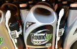 Un bidon de Roundup proposé à la vente, le 9 juillet 2019 à San Rafael, en Californie