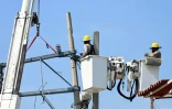 Des employés de l'entreprise publique d'électricité réparent les lignes électriques, le 6 novembre 2023 à Acapulco, deux semaines après le passage de l'ouragan Otis au Mexique