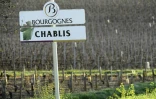 Un vignoble de Chablis à Maligny, dans le nord de la France, le 20 avril 2017