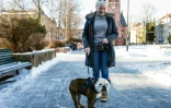 Anne Grethe Holen promène son bulldog Oscar, le 7 février 2022 dans un parc d'Oslo, en Norvège