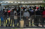 Des migrants font la queue pour recevoir de la nourriture distribuée par l'association "Vie Active" au centre d'aide humanitaire Jules-Ferry proche de la "Jungle" le 22 août 2016 à Calais