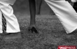 Moringue à Bagatelle dans l'est de l'île de la Réunion