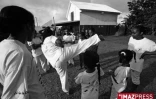 Moringue à Bagatelle dans l'est de l'île de la Réunion