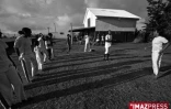 Moringue à Bagatelle dans l'est de l'île de la Réunion