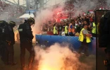 Les forces de l'ordre face aux hooligans lors du match Islande-Hongrie au stade Vélodrome de Marseille, le 18 juin 2016