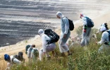 Des militants écologistes ont réussi à pénétrer sur le site de la mine de charbon de Garzweiler, dans l'ouest de l'Allemagne, le 22 juin 2019