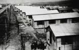 Le camp d'internement de Tsiganes en 1944 à Montreuil-Bellay