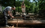 Des charpentiers fendent un tronc d'arbre sur le chantier de construction du château de Guédelon à Treigny, le 23 juin 2025 dans l'Yonne