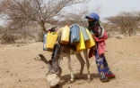 Une enfant transporte à dos d'âne des jerrycans remplis d'eau d'un puits dans un camp pour personnes déplacées, au sud de Hodeida, le 19 juillet 2025 au Yémen