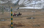 Un guide dirige une promenade à cheval sur les pistes de la station de Gulmarg, en Inde, le 17 janvier 2024