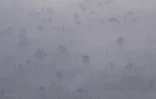 La fumée des incendies recouvre la forêt amazonienne dans la région de Labrea, Etat d'Amazonas, dans le nord du Brésil, le 2 septembre 2022