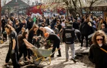 Des habitants du quartier de Christiania dépavent Pusher Street, l'artère principale de cet ancien paradis hippie niché au cœur de Copenhague, où le cannabis était en vente libre, le 6 mars 2024