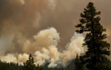 L'incendie Dixie près de Susanville, en Californie, le 18 août 2021