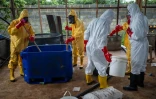 Des membres de l’Agence nationale nigériane de lutte contre les stupéfiants (NDLEA) lors d’une opération de démantellement d'un laboratoire clandestin de méthamphétamine abandonné à Iroto, au Nigeria, le 29 juillet 2026